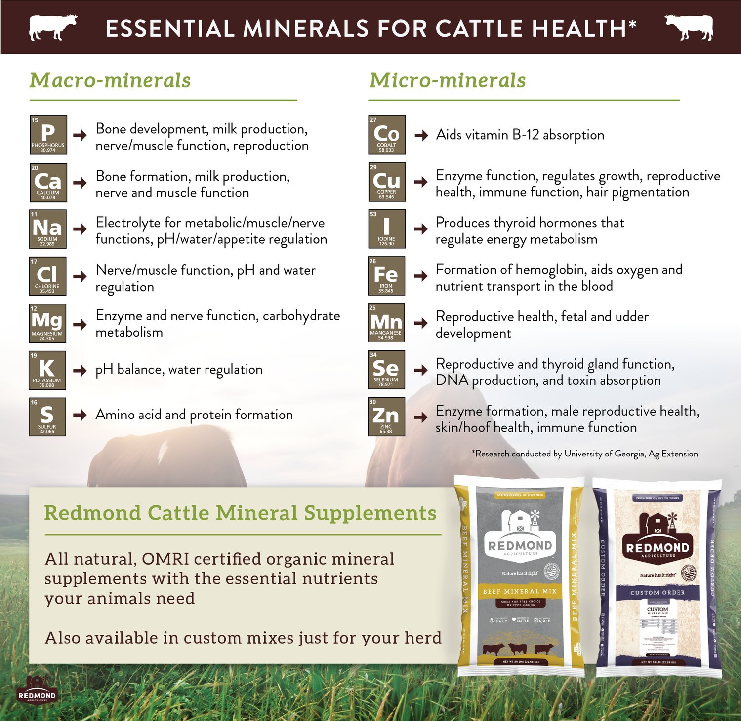 How Much Iron Do Cattle Need?